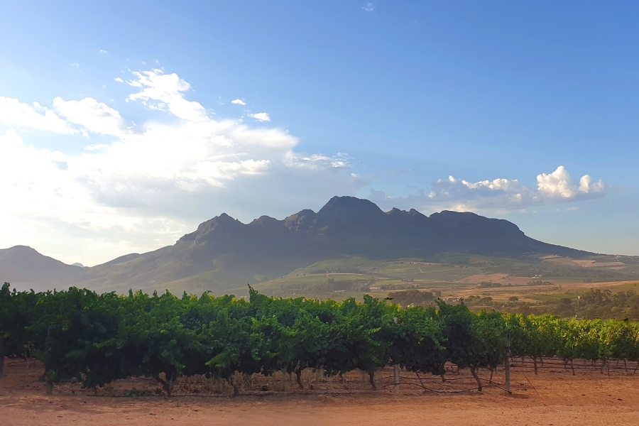 0 Bedroom Property for Sale in Paradyskloof Western Cape